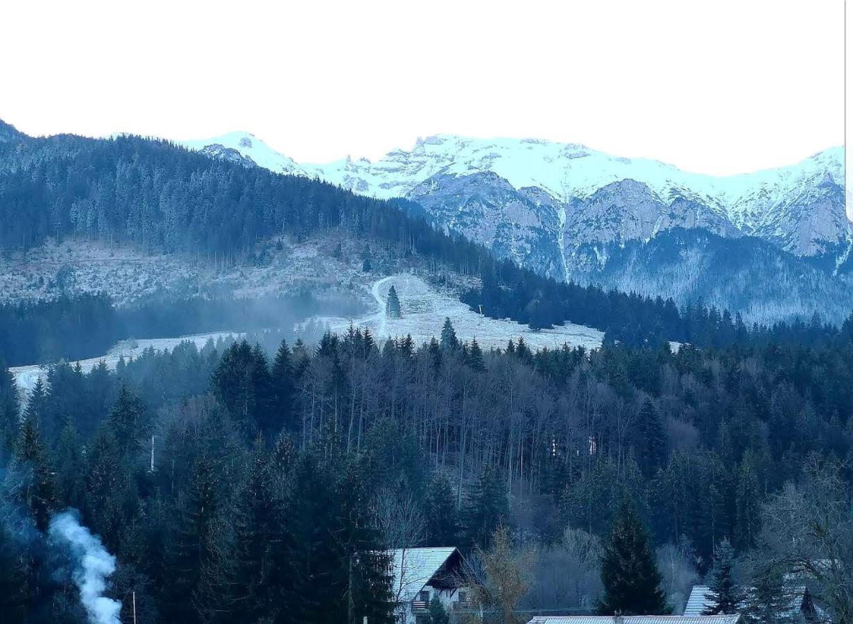 Casa Daniel Hotel Bran  Buitenkant foto