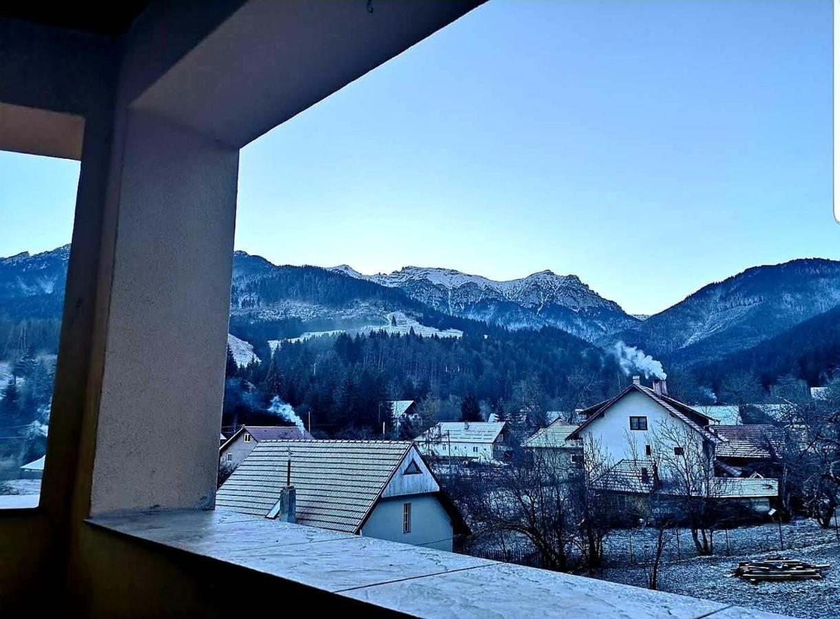 Casa Daniel Hotel Bran  Buitenkant foto