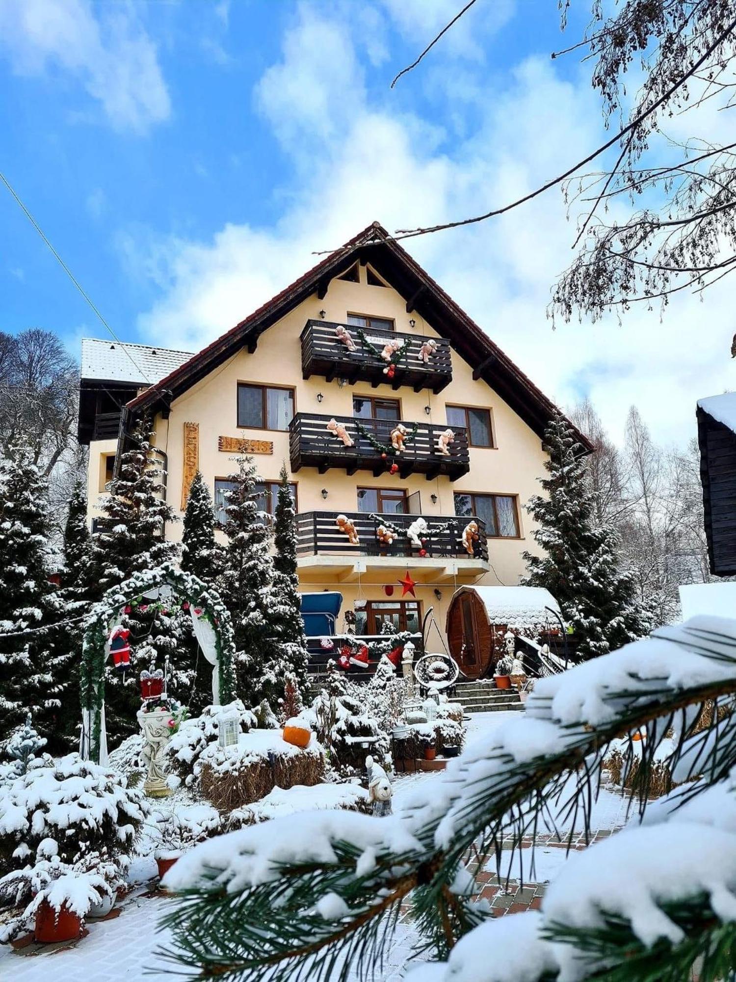 Casa Daniel Hotel Bran  Buitenkant foto